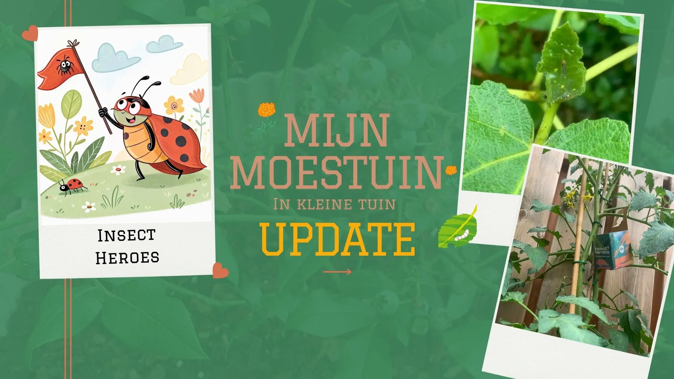 Mijn moestuin update insect heroes